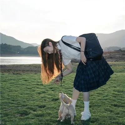 白象